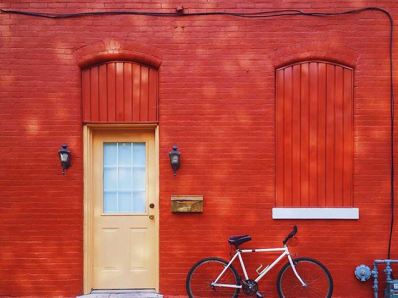 Premium Cotton T-Shirt V2